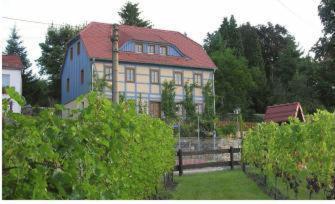 In Der Alten Weinstube Freital Exterior foto