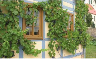 In Der Alten Weinstube Freital Exterior foto